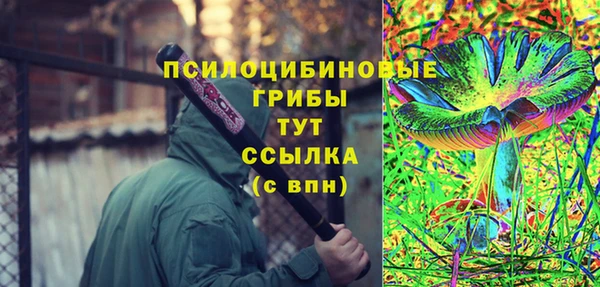 прущие грибы Пересвет