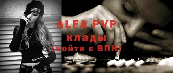 ECSTASY Алзамай