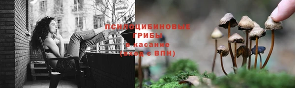 ГАЛЛЮЦИНОГЕННЫЕ ГРИБЫ Алексеевка