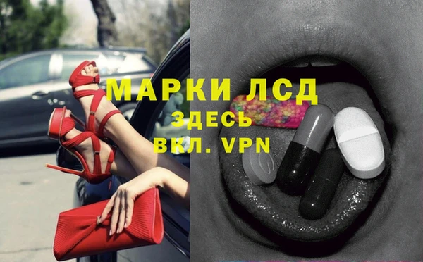 ECSTASY Алзамай