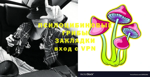 ECSTASY Алзамай
