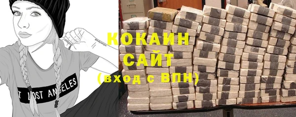 ECSTASY Алзамай
