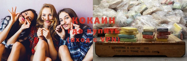 ECSTASY Алзамай