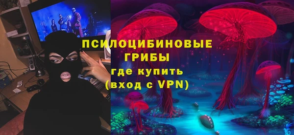 ECSTASY Алзамай