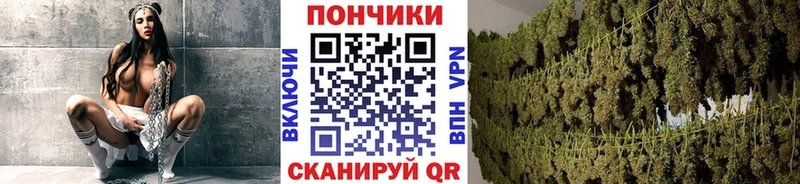 Марихуана SATIVA & INDICA  Пролетарск 